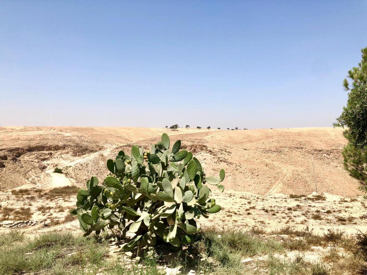 רגע של חסד Apartamento Arad Exterior foto